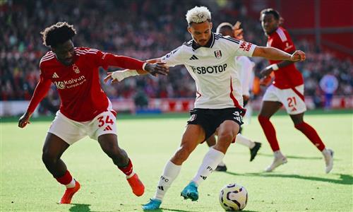 Betking Online Betting: Ultimate Guide